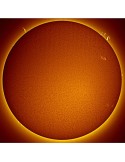 LT-0551146 -- Telescopio solare LUNT LS40THa/B600 H-Alpha