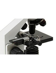 Microscopi ottici