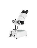 Stereomicroscopio TS-Optics MXSP36 con doppia illuminazione elettrica 20x / 40x